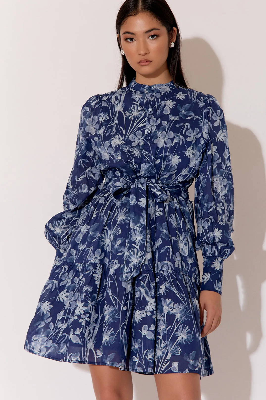 Celeste Long Sleeve Print Dress Print