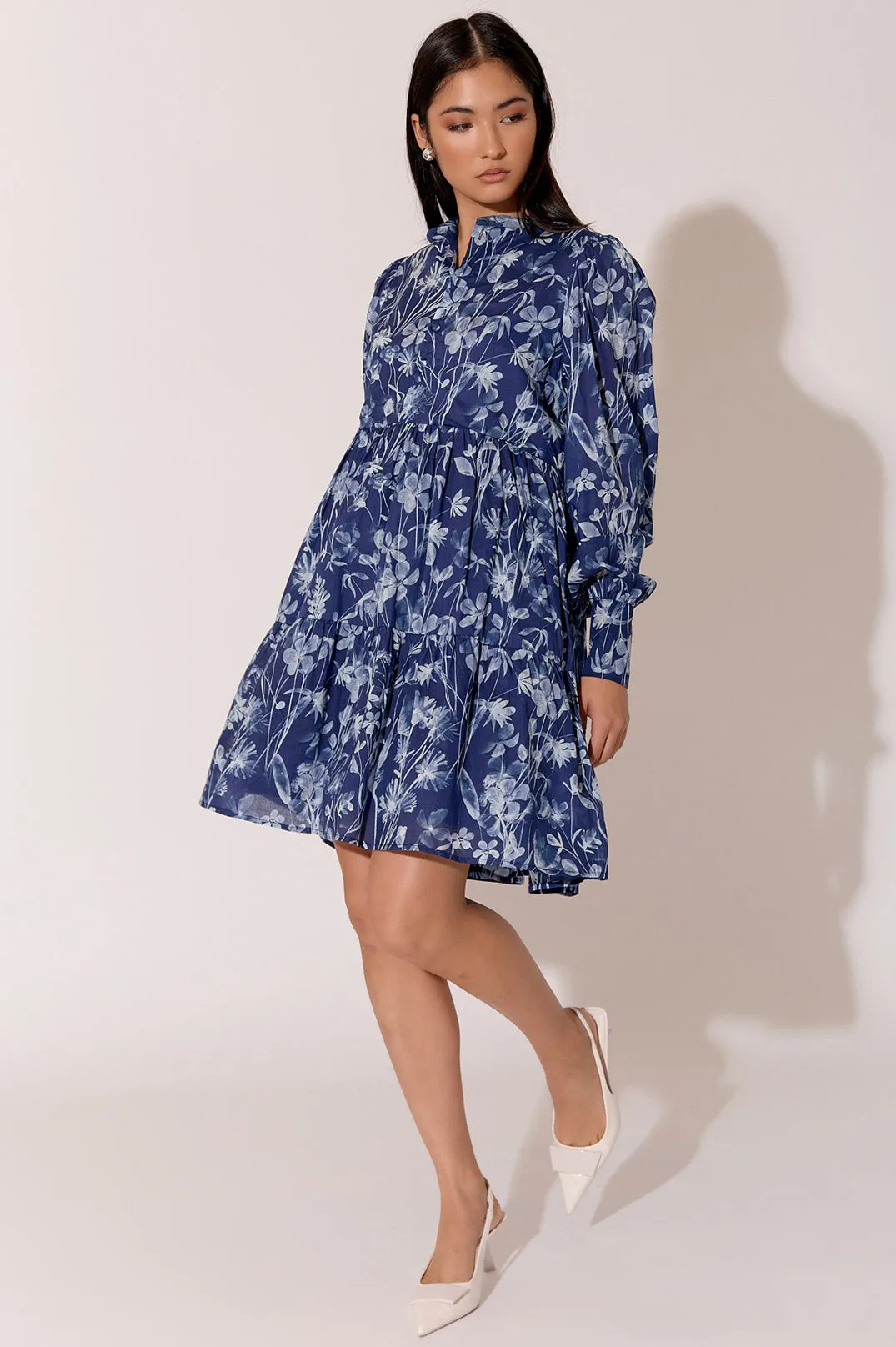 Celeste Long Sleeve Print Dress Print