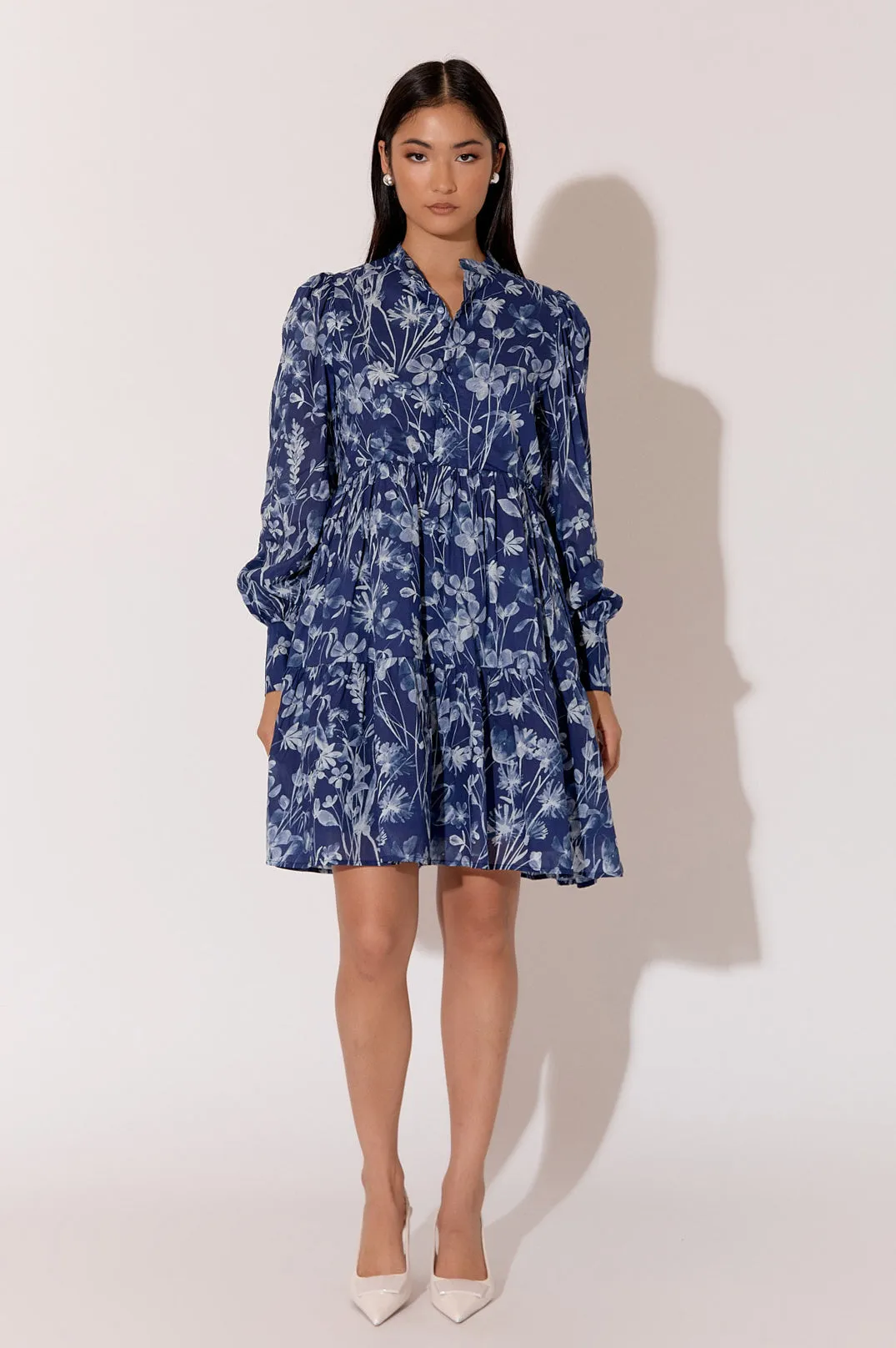Celeste Long Sleeve Print Dress Print
