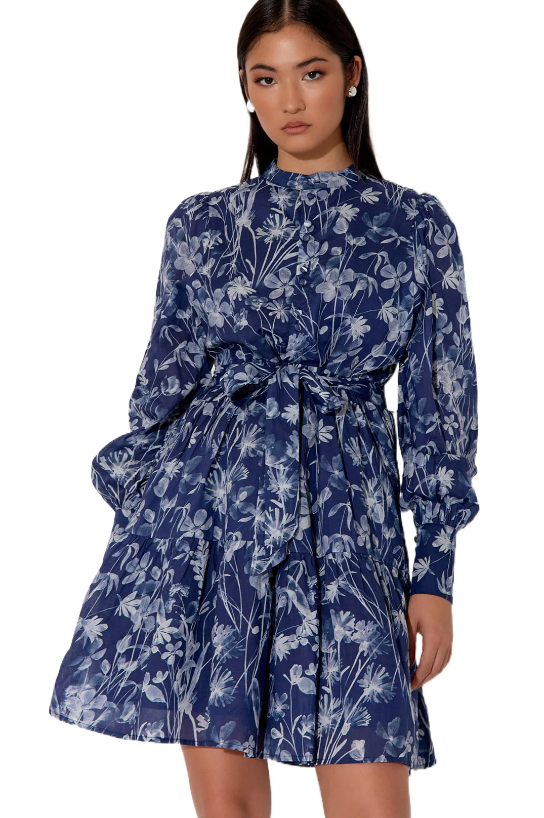 Celeste Long Sleeve Print Dress Print
