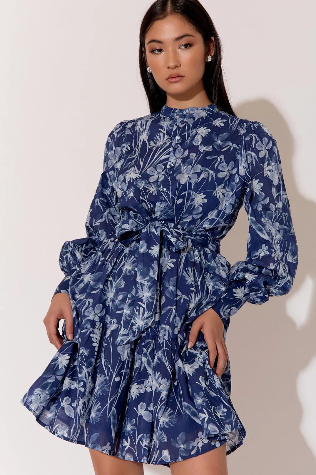 Celeste Long Sleeve Print Dress Print